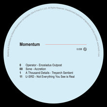 Load image into Gallery viewer, V/A - Momentum / From 0-1