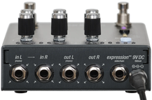 Load image into Gallery viewer, Endorphin.es Golden Master Pedal BLCK (Special Order)