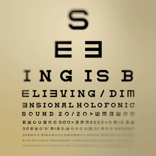 Load image into Gallery viewer, Dimensional Holofonic Sound / Meat Beat Manifesto / DJ Shadow - Seeing Is Believing