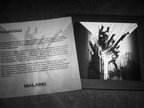 Load image into Gallery viewer, Malarki - Haunting CD (Consignment)