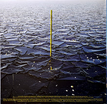 Load image into Gallery viewer, Mark Pritchard : The Four Worlds (LP,Mini-Album)