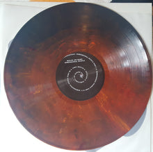 Load image into Gallery viewer, Mouse On Mars : Dimensional People (LP,Album,Limited Edition)