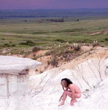 Load image into Gallery viewer, Anklepants : Pollen (LP)