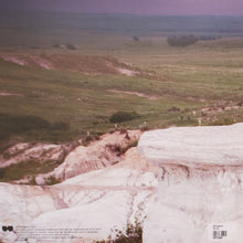 Load image into Gallery viewer, Anklepants : Pollen (LP)