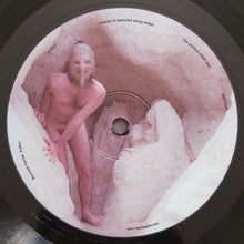 Load image into Gallery viewer, Anklepants : Pollen (LP)