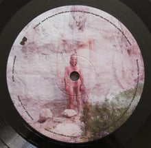 Load image into Gallery viewer, Anklepants : Pollen (LP)