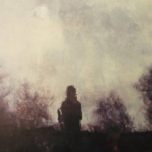 Load image into Gallery viewer, Stray Theories : All That Was Lost (LP,Limited Edition)