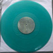 Load image into Gallery viewer, Stray Theories : All That Was Lost (LP,Limited Edition)