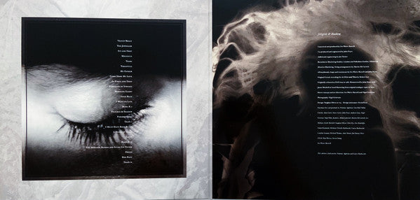 This Mortal Coil - Filigree & Shadow – Mission Synths
