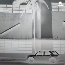 Load image into Gallery viewer, Actress : Karma & Desire (LP)