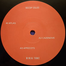 Load image into Gallery viewer, Bicep : Isles (LP,Album)