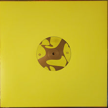 Load image into Gallery viewer, Jimmy Edgar : Cheetah Bend (LP,Album)