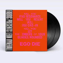 Load image into Gallery viewer, Leon Vynehall : Fabric Presents Leon Vynehall (LP,Compilation)