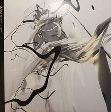 Load image into Gallery viewer, Autechre : Draft 7.30 (LP,Album,Reissue)