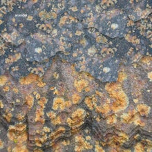 Load image into Gallery viewer, Arandel : Solarispellis (LP,Album)