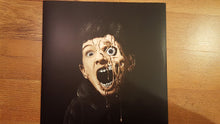 Load image into Gallery viewer, Oneohtrix Point Never : Garden Of Delete (LP,Album)