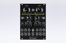 Load image into Gallery viewer, Erica Synths Black Dual VCF
