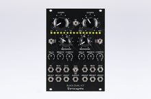 Load image into Gallery viewer, Erica Synths Black Dual VCF