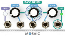 Load image into Gallery viewer, Mosaic Bass Drum