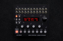 Load image into Gallery viewer, Erica Synths LXR Eurorack Module