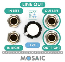 Load image into Gallery viewer, Mosaic Line Output