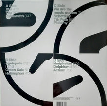 Load image into Gallery viewer, Aphex Twin : Selected Ambient Works 85-92 (LP,Album,Reissue,Remastered)
