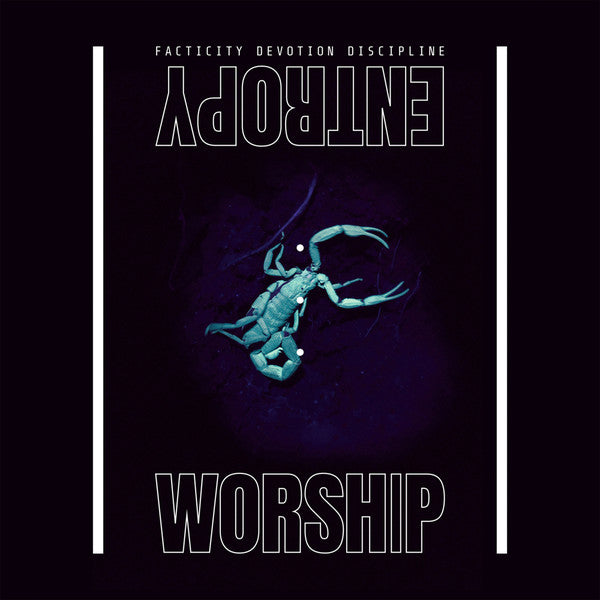 Entropy Worship : Facticity Devotion Discipline (12