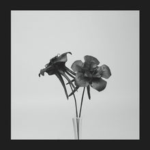 Load image into Gallery viewer, Jlin : Dark Lotus (12&quot;,45 RPM)

