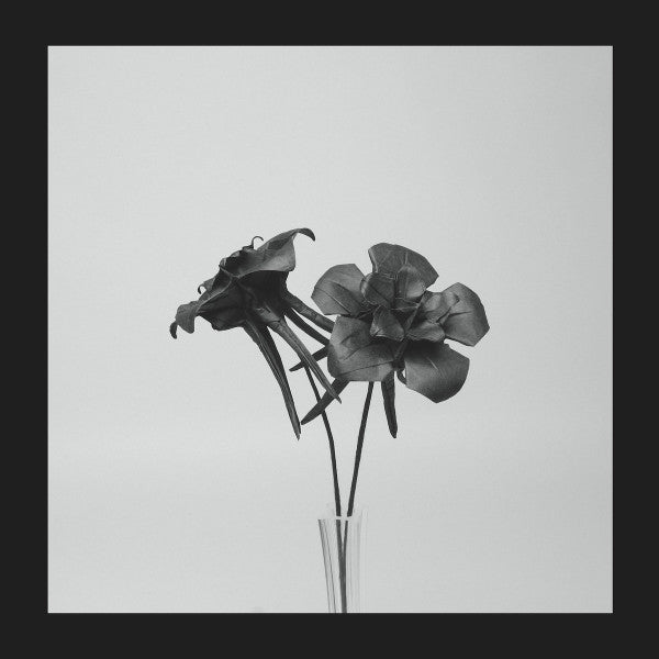 Jlin : Dark Lotus (12