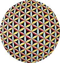 Load image into Gallery viewer, Darkat - Sounds of the Darkat 7&quot; Picture Disc
