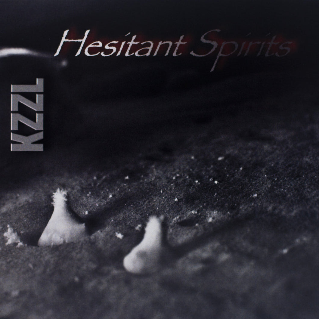 KZZL - Hesitant Spirits CD
