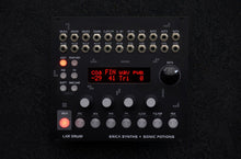 Load image into Gallery viewer, Erica Synths LXR Eurorack Module
